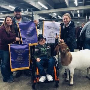 Meet your Posher, Sydney